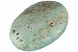 Polished Blue Caribbean Calcite Palm Stone #187875-1
